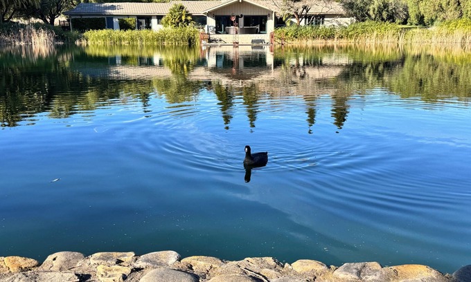 Santa Ynez Other | Magical 5 Acre Estate combines country charm with a resort-like atmosphere.