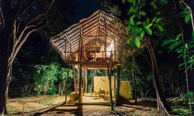 Sigiriya Cabin | Magical Tree House in Jungle next to Pidurangala
