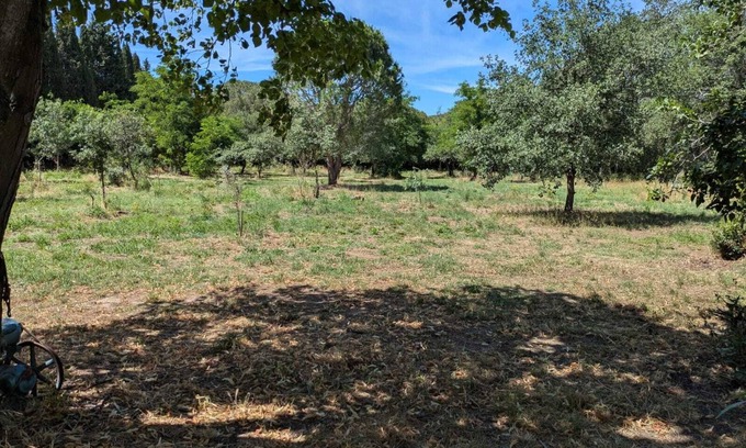 Montesquieu-des-Alberes Apartment | Magnificent studio in the heart of nature
