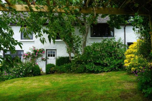 Barnstaple House | Magnolia View