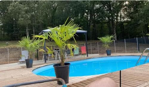 Puygaillard-de-Quercy House | Maison charmante à Puygaillard-de-Quercy avec piscine privée