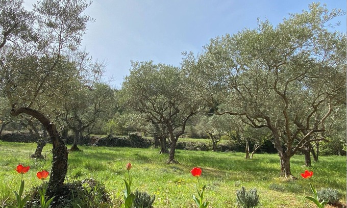 Montmeyan Cabin | Maison de Campagne à 5 min des Gorges et Lacs du Verdon