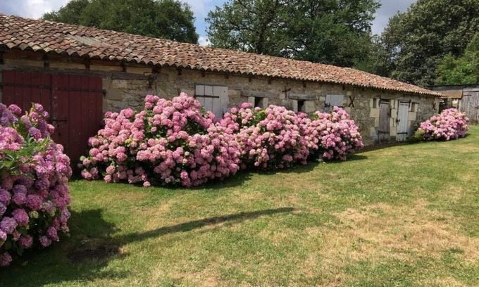 Dienne House | Maison de Campagne - 4ch - Poitiers/Dienné