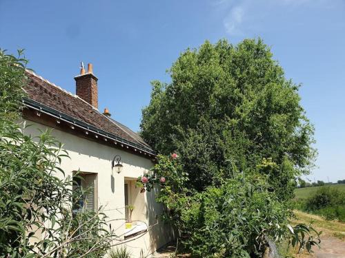 Cangey House | Maison de campagne - Cangey