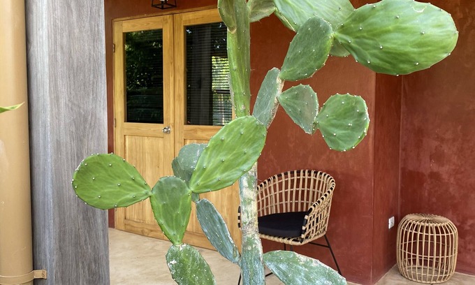 Playa Negra House | Maison de Plage Avec Piscine sur Spot de Surf