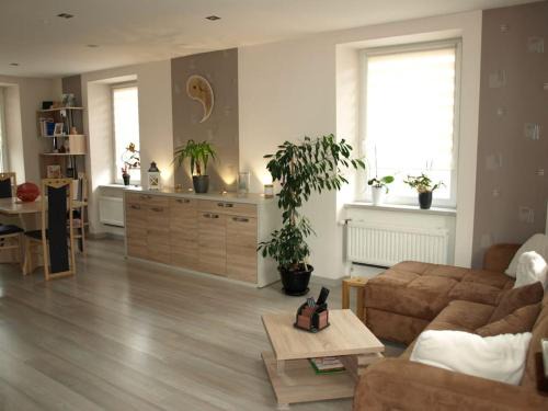 Niederbronn-les-Bains Apartment | Maison lumière