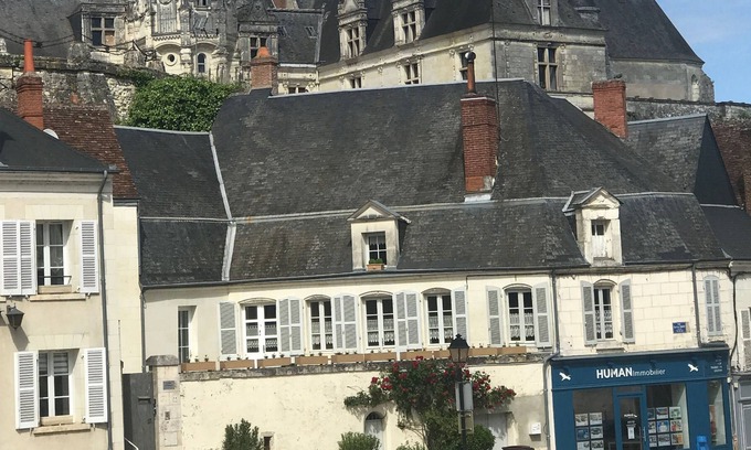 Saint-Aignan House | Majestic residence at the foot of the Château de St Aignan 5 minutes from the Zoo Beauval