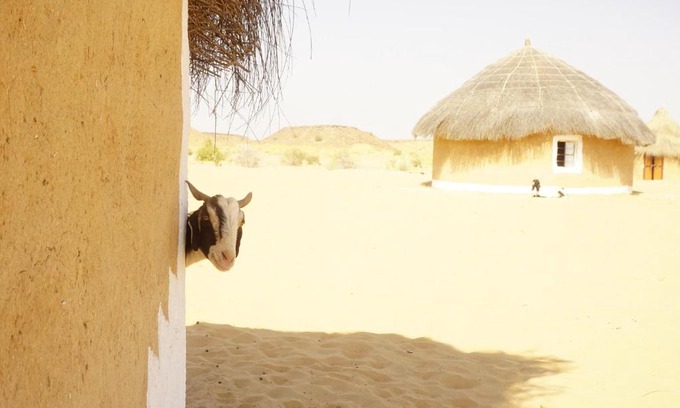 Jaisalmer House | Mala Ki Dhani