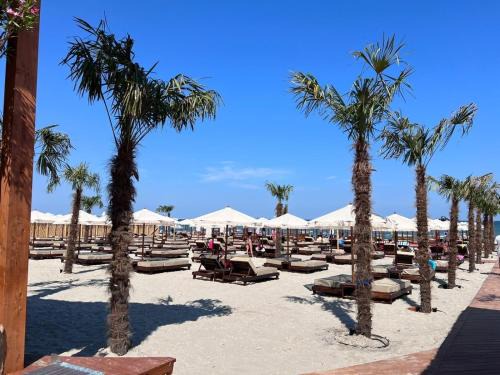 Mamaia-Sat Apartment | Mamaia Beach Condos 2