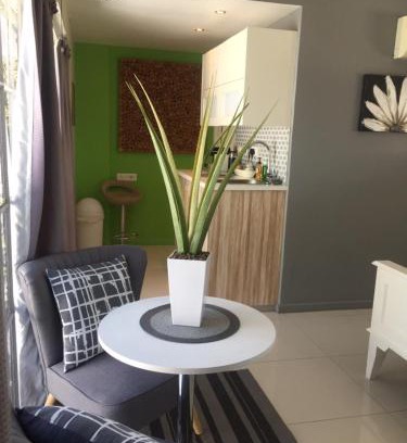 Cape Town City Centre Apartment | Man And Tree House