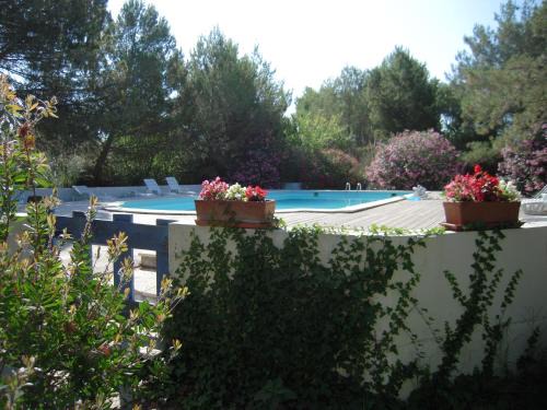 Saintes-Maries-de-la-Mer House | Manade Cavallini - Mas de Pioch