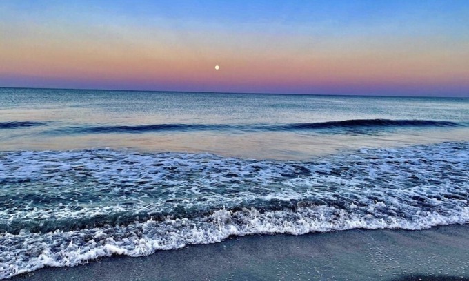 Englewood Cottage | Manasota Key Inn 1 BR Suite w/Full Kitchen, Steps to Private Beach, Dog Friendly