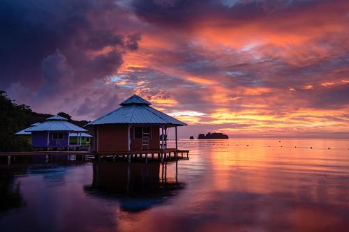 Roatan Resort | Mango Creek Lodge