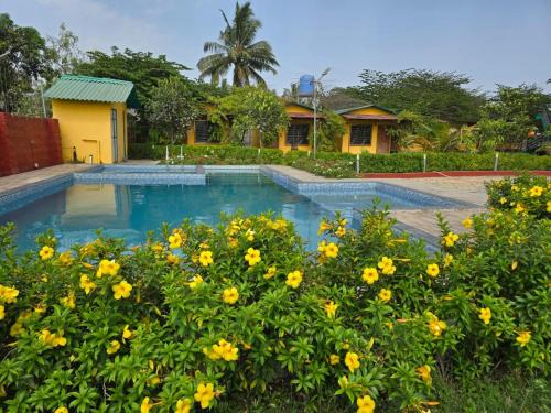 Alibaug Hotel | Mango Leaf Resort