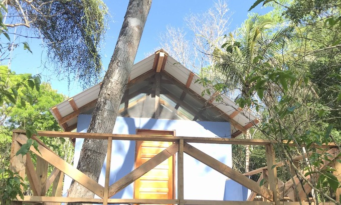 San Ignacio Resort | Mango Walk Inn