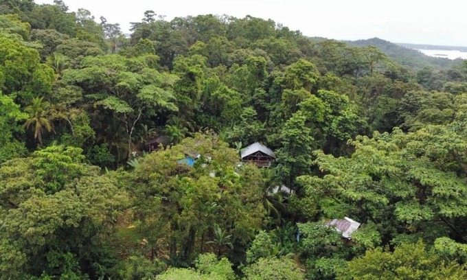Isla Bastimentos Villa | Manipura Room: Private Balcony, Hammock & Stunning Jungle Views!