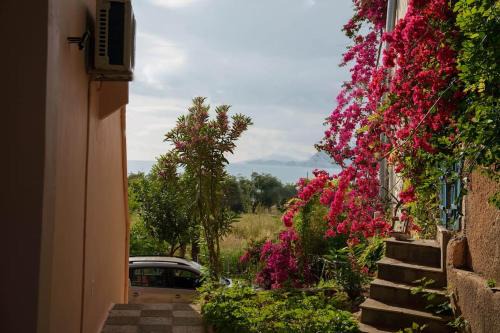 Preveza Villa | Mannou House