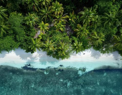 Arborek House | Manta Homestay - Raja Ampat