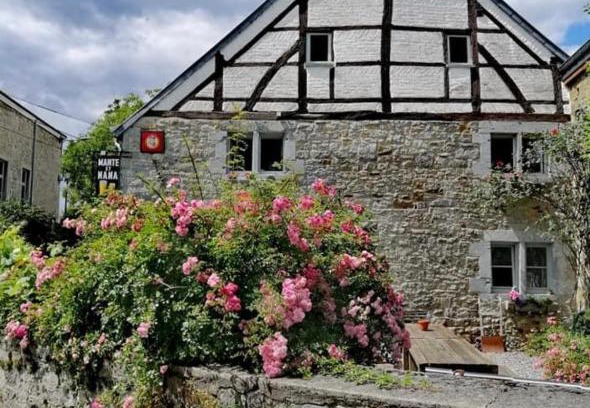 Weris House | Mante et Nana