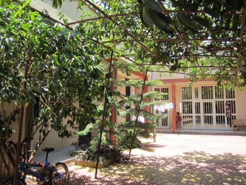 Bahir Dar Hostel | Manuhie Backpackers Lodge