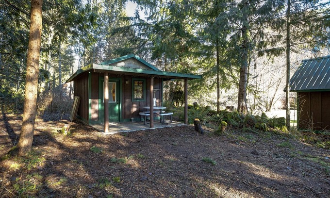 Maple Falls Cabin | Maple Falls Cabin #72 - Sleeps 2 - Pets Ok