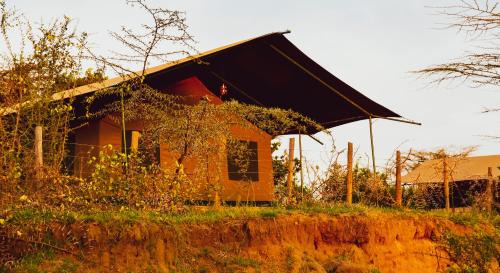 Talek Other | Mara Duma Bush Camp