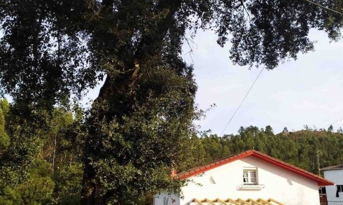 La Franca House | Maria La Franca near Llanes in Asturias