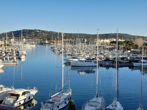Port Cogolin Apartment | Marina Bella
