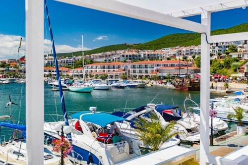 Sveti Vlas Apartment | Marina Delfin Apartments - Top Location & Pet Friendly