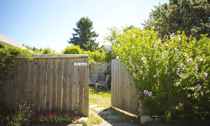Edgartown Cottage | Martha's Vineyard 1BR, Pets Ok, 10 Min walk to beach or Edgartowns shops!