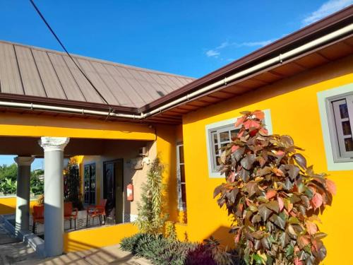 Bono East Region Bed & Breakfast | Martina's Executive Lodge