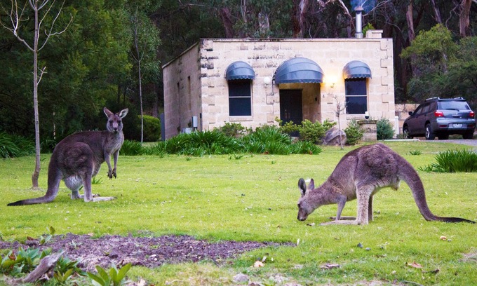 Halls Gap Villa | Marwood Villas