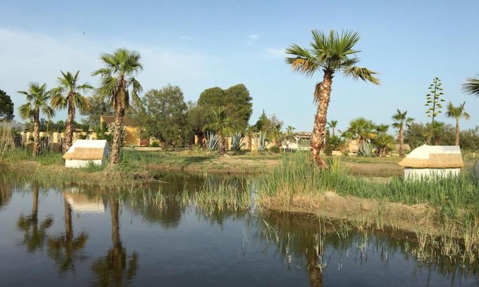 Saint-Laurent-d'Aigouze House | Mas de l isle sauvage aigues mortes
