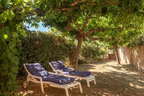 Montesquieu-des-Alberes House | Mas Saint Pierre