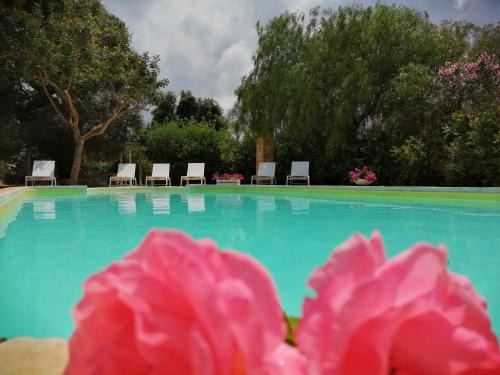 Ostuni House | Masseria Pugliese Farm
