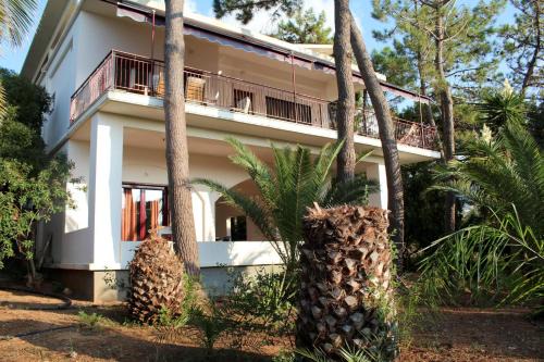 Kiparissia Apartment | MATINA 2
