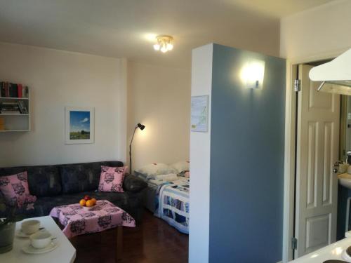 Kesklinn Apartment | Matrix Garden Apartments
