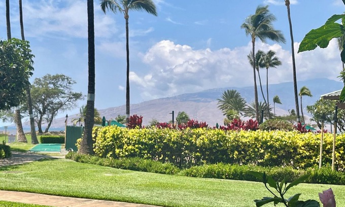 Kihei Condo | MAUI TRUE PARADISE OCEANFRONT COMPLEX INCREDIBLE RATES BOOK NOW C104