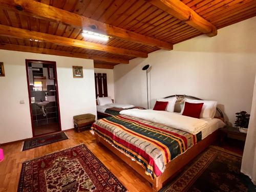 Cartisoara House | Maya & Elena