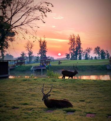 Chom Bueng Resort | McQuillan's Homestay and Resort