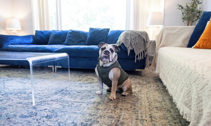 Evanston Condo | MDRN Kid-Friendly Apt|Charming|Private|Sunny|Fast Wi-Fi| Parking