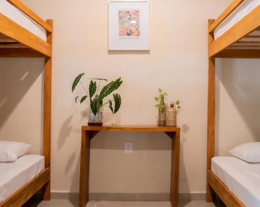 Centro Hotel | Mecate Hostel by Xibalba