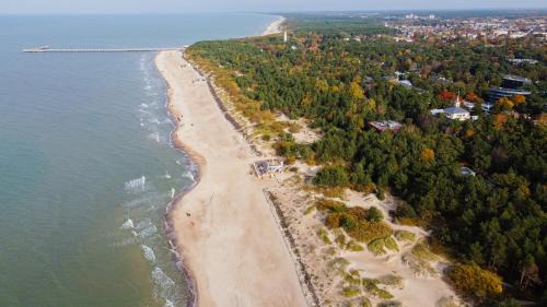 Palanga Apartment | Meilės alėjos apartamentai