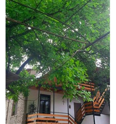 Borjomi Apartment | Melano apatment