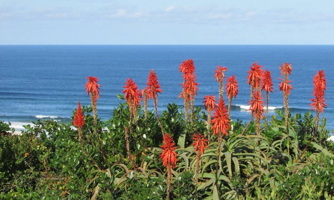 Outeniqua Strand House | Melkhoutkloof Guest House