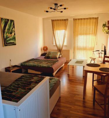 Schwetzingen Apartment | Mels Apartment