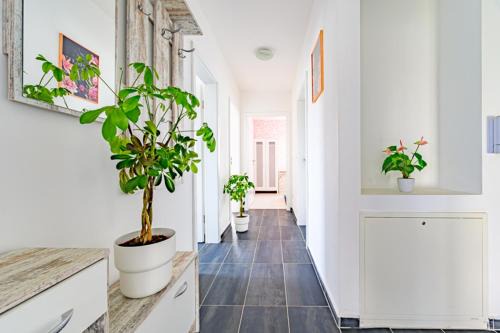 Dohren-Wulfel Apartment | Merve Comfort Aparts2-Hannover-HALAL حلال