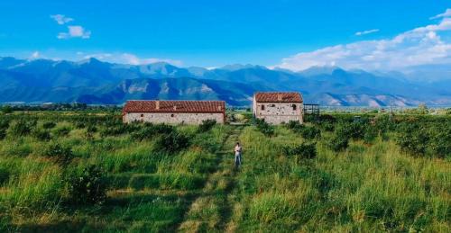 Telavi Villa | Mestvireni