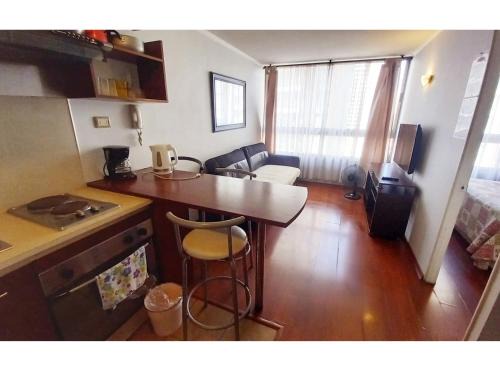 Downtown Santiago Apartment | Metroapart 11