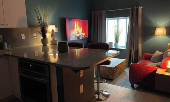 Red Deer Apartment | Metropolitan Loft 202